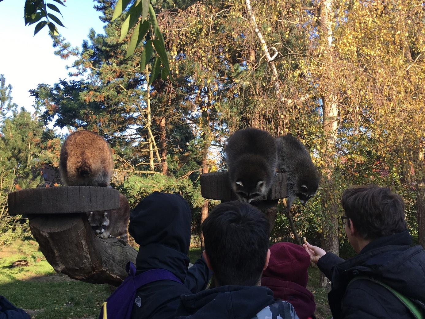 zoo1