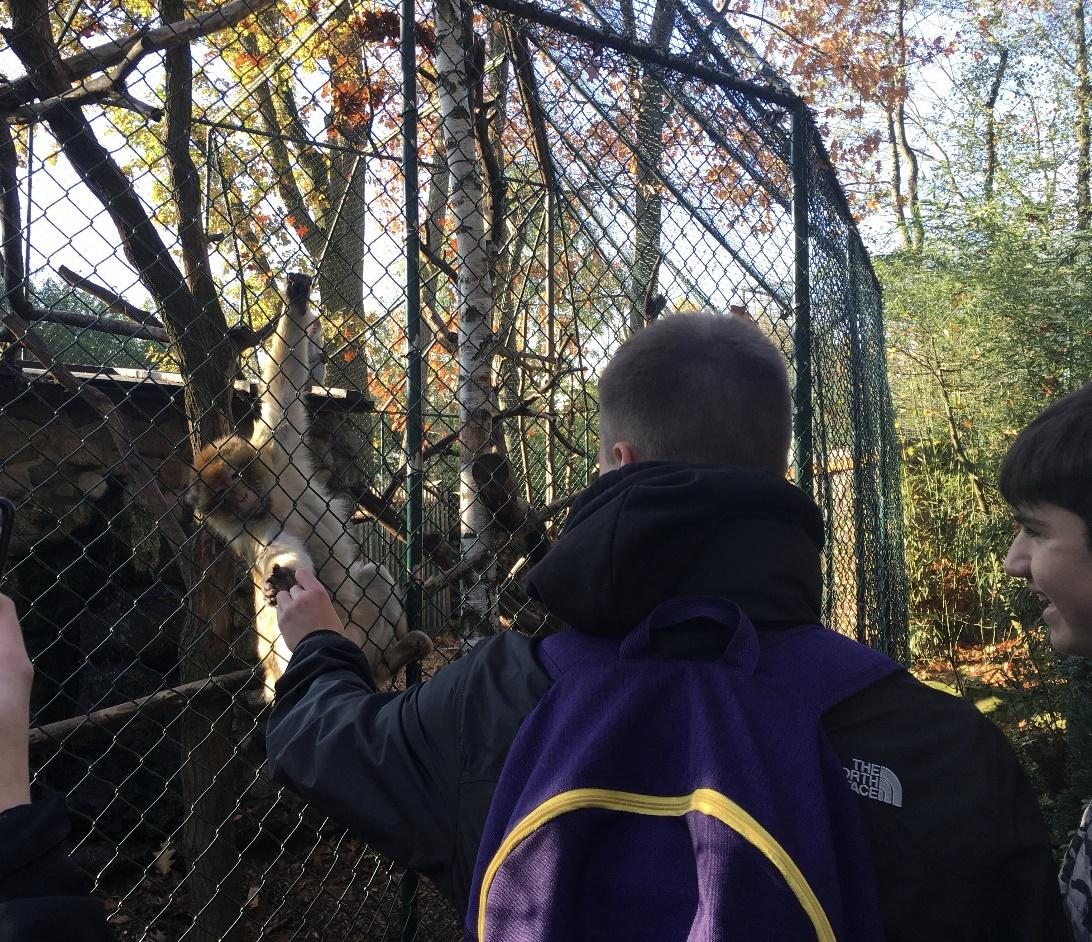 zoo2